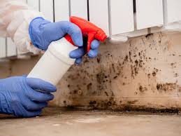 Best Comprehensive Air Testing for Mold Contaminants  in Hugo, MN